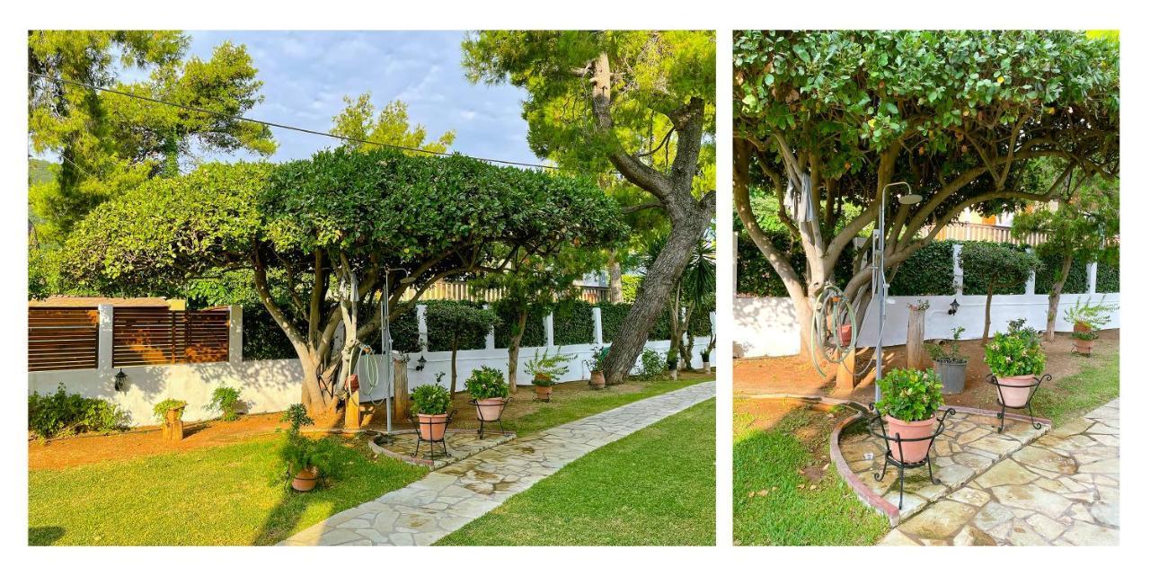 דירות אגיוס יואניס Malakassis House מראה חיצוני תמונה